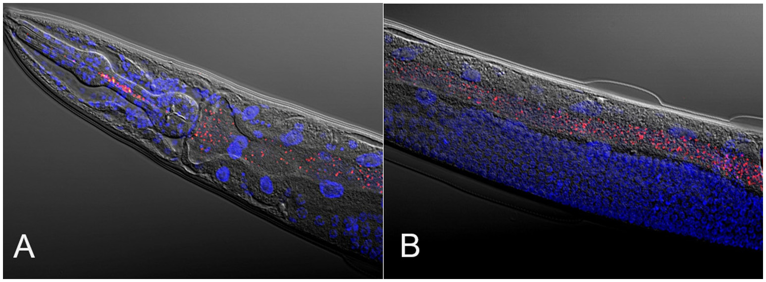 Microbiome Research